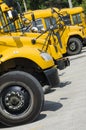 School busses Lined up to Transport kids Royalty Free Stock Photo