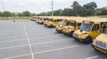 School Busses Parked At School Royalty Free Stock Photo