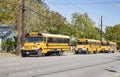 school busses on the way in Boerne, Texas, USA. School busses are free for pupils in the USA