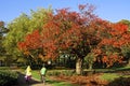 School children cycling in colorful autumn landscape