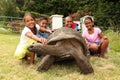 School children with giant tortoise on St Helena