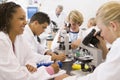 School children and their teacher in science class Royalty Free Stock Photo