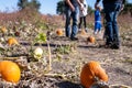 School Class field trip to a pumpkin patch in the fall Royalty Free Stock Photo