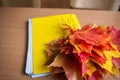 School classroom. notebook and bouquet of autumn maple leaves on the table. concept: back to school, teacher`s day Royalty Free Stock Photo