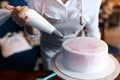 School of cooking cake,woman with a bag going to apply cream on cake