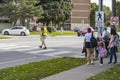 School crossing guard helps children to cross the street.