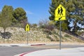 School Crosswalk Signs Royalty Free Stock Photo