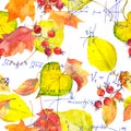 School Design - Mathematical Notes And Yellow Autumn Leaves. Seamless Education Pattern. Hand Written Text, Watercolor