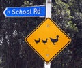 School - direction sign post