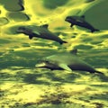 School of Dolphins Royalty Free Stock Photo