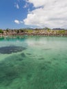 School of fish in the clear water Royalty Free Stock Photo