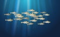 School of fish Codfish. Marine life. Cod atlantic, vector illustration with details and optimized specks to be used in packaging Royalty Free Stock Photo