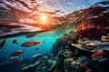 A school of fish darting around underwater coral reefs