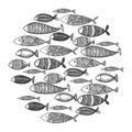 School of fish. A group of stylized fish swimming in a circle. Black and white fish for children with ornaments. Marine