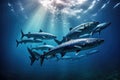 A school of fish swimming gracefully in the clear blue ocean., School of Barracuda swimming in the Red Sea, Egypt, Africa, AI