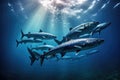 A school of fish swimming gracefully in the clear blue ocean., School of Barracuda swimming in the Red Sea, Egypt, Africa, AI Royalty Free Stock Photo