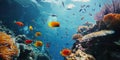 School of Fish Swimming Over Coral Reef Royalty Free Stock Photo