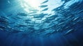 School of fish swimming under water of sea Royalty Free Stock Photo