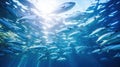 School of fish swimming under water of sea Royalty Free Stock Photo