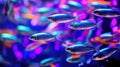 School of fish swimming under water of sea. Underwater life. World ocean day concept. AI illustration for banner Royalty Free Stock Photo