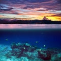 School of fish in the tropical ocean on beautiful sunset splitted by waterline Royalty Free Stock Photo