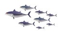 School of fish in color. Tuna of different sizes - vector illustration