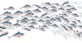 School of fish vector illustration for header, Royalty Free Stock Photo