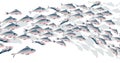 School of fish vector illustration for header,