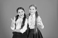 School friendship concept. Cheerful children. Motivation studying with best friend. Girls best friends school uniform Royalty Free Stock Photo