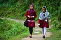 School girls going to school in Himalayas Royalty Free Stock Photo