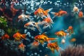 School of goldfish swimming in an aquarium