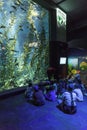 School Group at Toronto Aquarium