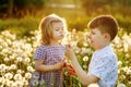 School kid boy and little baby girl blowing on a dandelion flowers on the nature in the summer. Happy healthy toddler Royalty Free Stock Photo