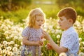 School kid boy and little baby girl blowing on a dandelion flowers on the nature in the summer. Happy healthy toddler Royalty Free Stock Photo