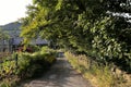 School Lane, with dry stone walls, and old trees in, Colne, Lancashire, UK Royalty Free Stock Photo