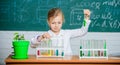 School lesson. Girl cute school pupil play with test tubes and colorful liquids. School chemical experiment. School Royalty Free Stock Photo