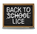 School Lice Problem