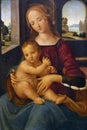 School of Lorenzo di Credi: Madonna with the Child