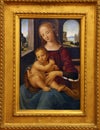 School of Lorenzo di Credi: Madonna with the Child