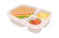 School lunch box flat icon Sandwich, tomato Balanced nutrition