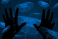 A school of jellyfish float in the ocean as silhouetted hands reach out toward them