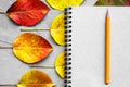 School notebook, pencil and autumn leaves. Back to school concept. Creative flat lay