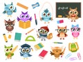 School owls. Color cute birds studying in school and teacher, owl with books and stationery. Teaching education cartoon