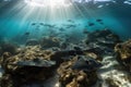 school of rays swimming through the coral reef, with sharks in the background