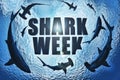 School of sharks , great white and hammerhead`s circling the text Shark week with a shark bite taken out of the k.