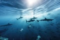 school of sharks and rays swimming in the open ocean