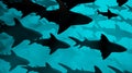 School of sharks swimming in blue water.Side view . Silhouettes . Medium population . 3d rendering