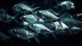 School of small silver fish underwater. Marine life. Generative AI Royalty Free Stock Photo