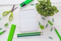 School supplies in shades of green on a background of white wood Royalty Free Stock Photo