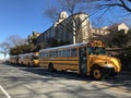 School yellow bus on the street on a sunny day against the blue sky and the road Royalty Free Stock Photo